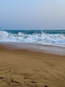 22nd Mar 2025 - Wave. 