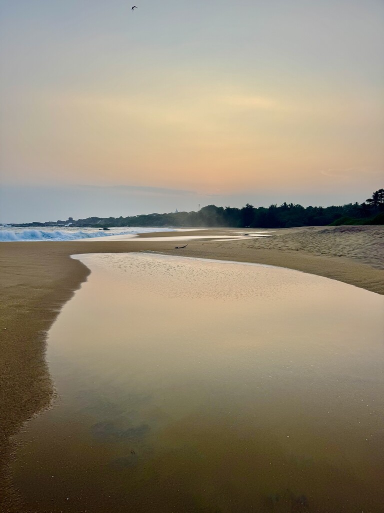 Quiet.  by cocobella