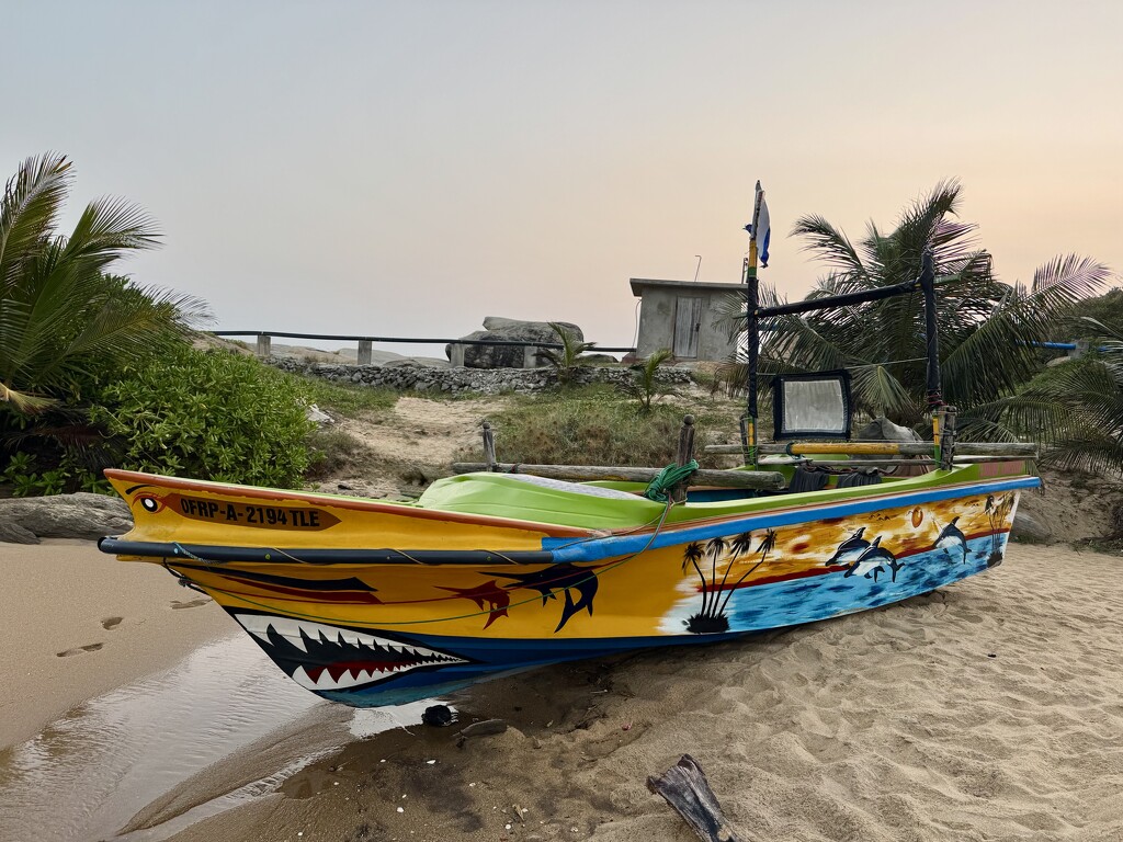 Boat on the beach.  by cocobella