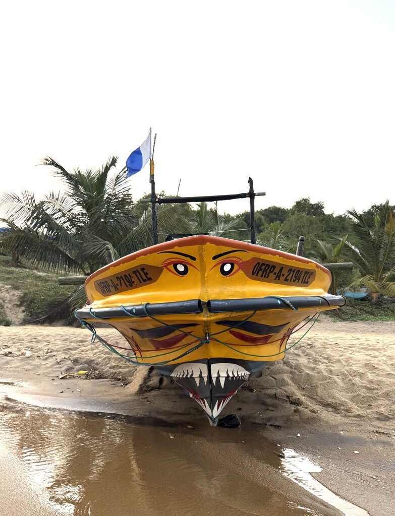 Fierce boat.  by cocobella