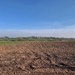 Ploughing