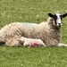 Mother and Child