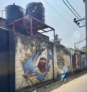 24th Mar 2025 - Shark. 