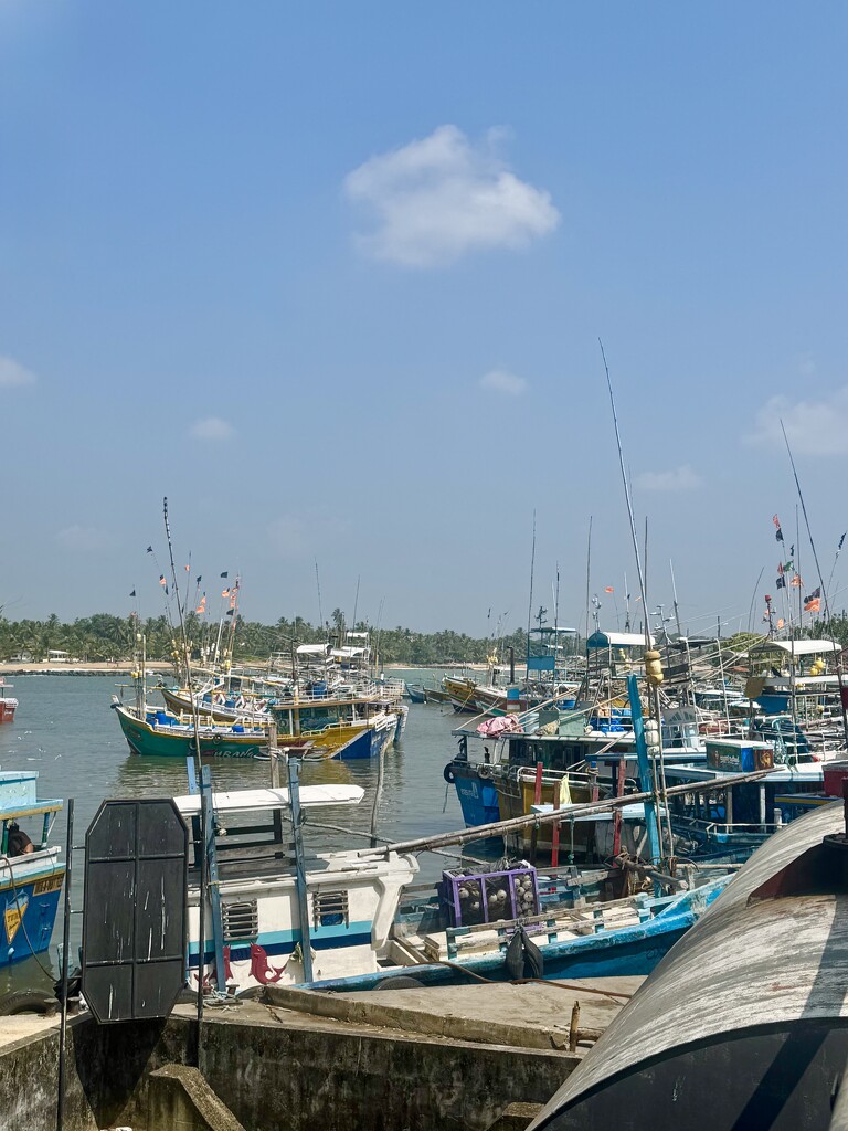 Boats in Tangalle.  by cocobella