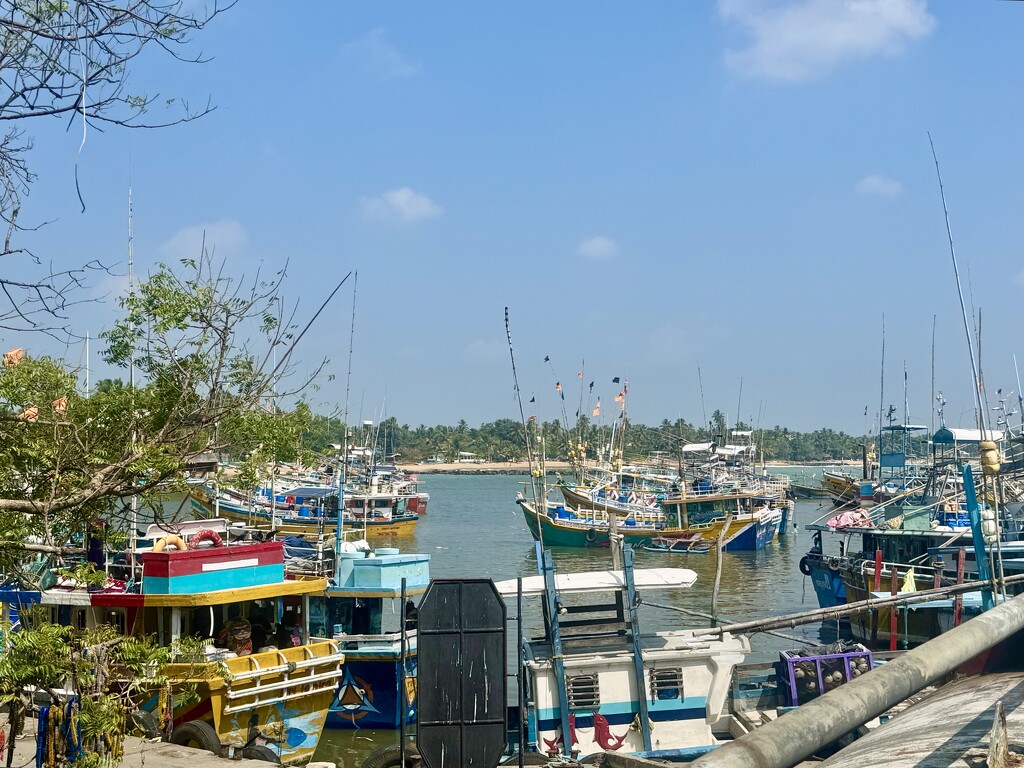 Tangalle Harbor.  by cocobella