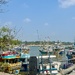 Tangalle Harbor. 