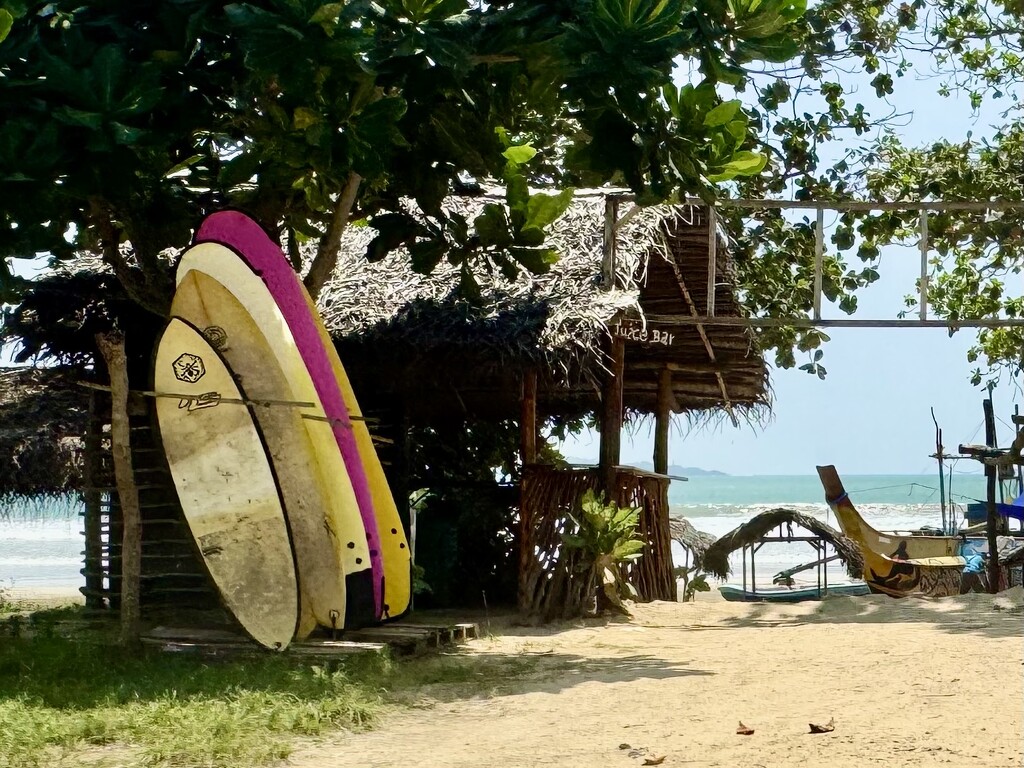 Surf.  by cocobella