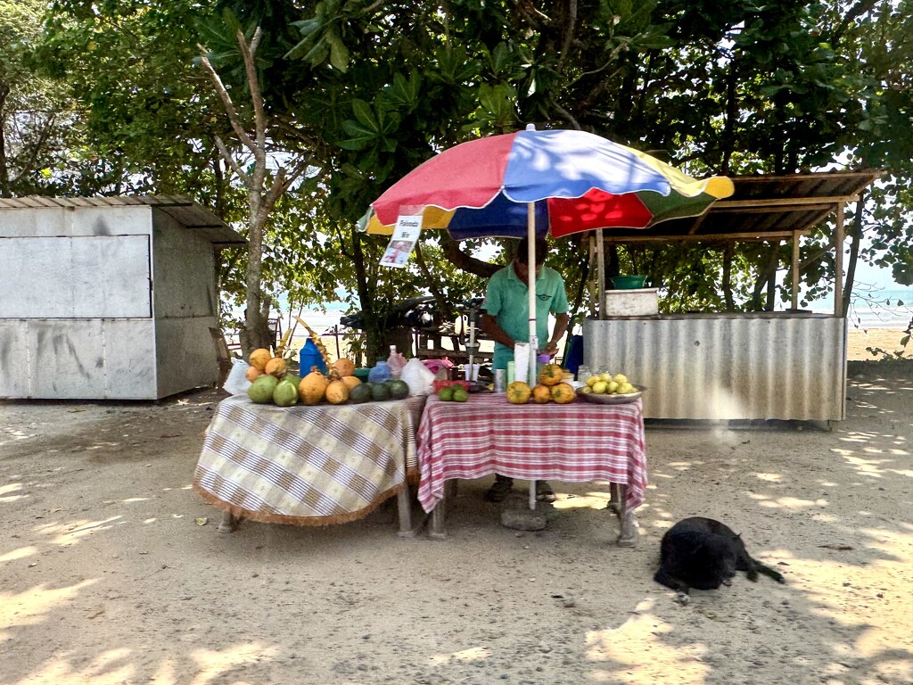 Fruits shop.  by cocobella