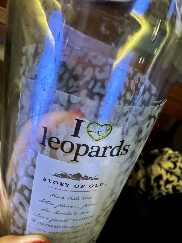 Heart on a bottle.  by cocobella