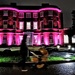 Pink gallery
