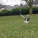 Here Elsie 