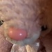 Pink Bunny 