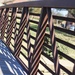Shadows on Railing