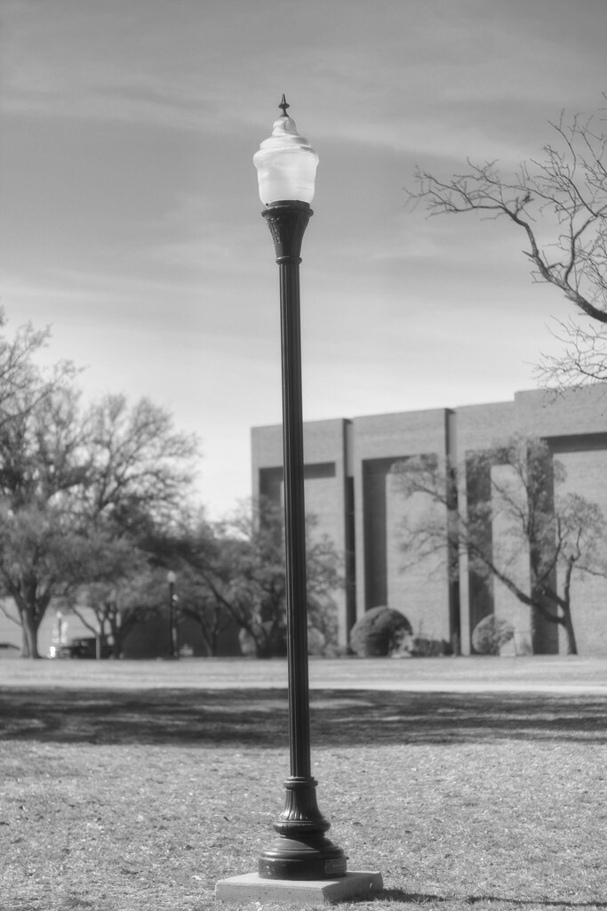 Light Pole on Campus by judyc57