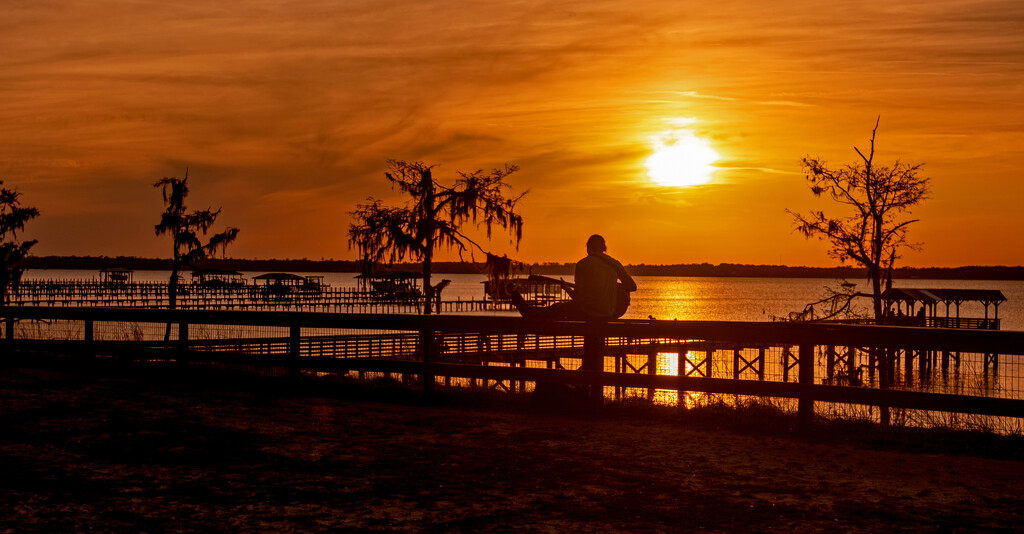 Guitar Player Silhouette! by rickster549