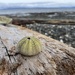 Beach Find by kwind
