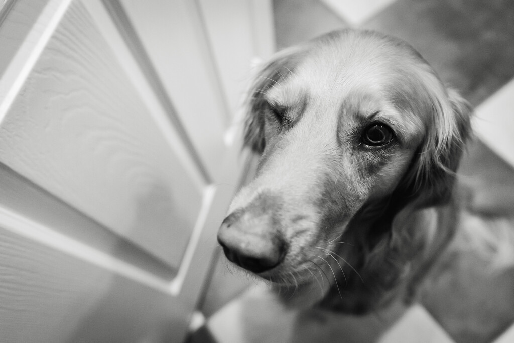 Wink by tina_mac