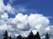 6th Mar 2025 - Fluffy White Clouds
