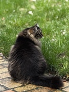 7th Mar 2025 - Sitting Pretty