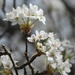 Spring in the midlands...