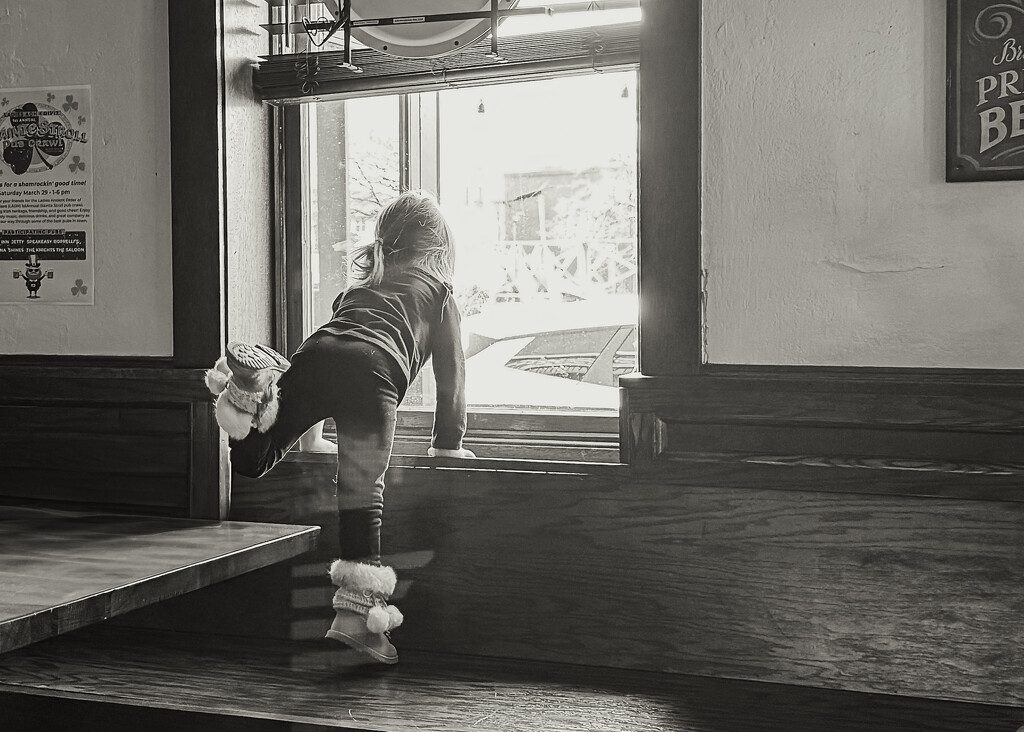 Sweet Fascination by kellyanngray
