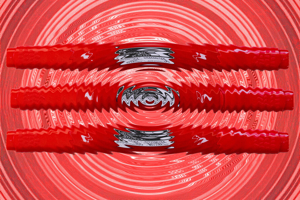 Red 4 by k9photo