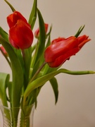 24th Mar 2025 - Spring Inside
