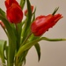 Spring Inside