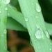 I'm  Always Happy When It Rains