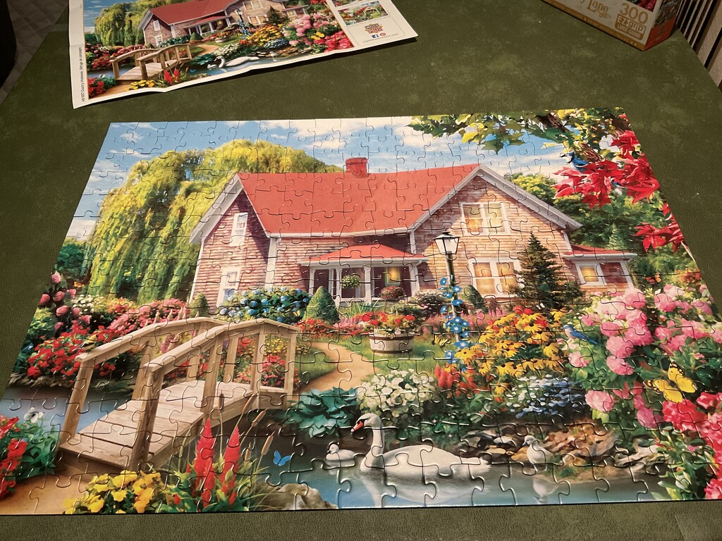 Didn’t take long for this puzzle. by illinilass