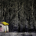 Winter Mossy Hut