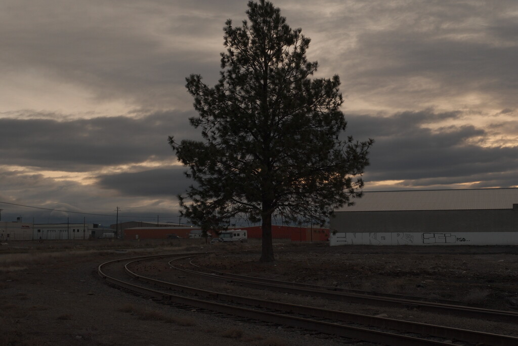 Cloudy morning  by josharp186