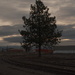 Cloudy morning 