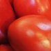 Red 24