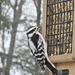 Birds Choice