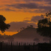 Ambury Sunrise