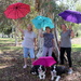 New brolly members