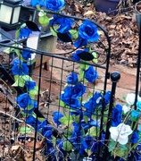 25th Mar 2025 - Garden Art