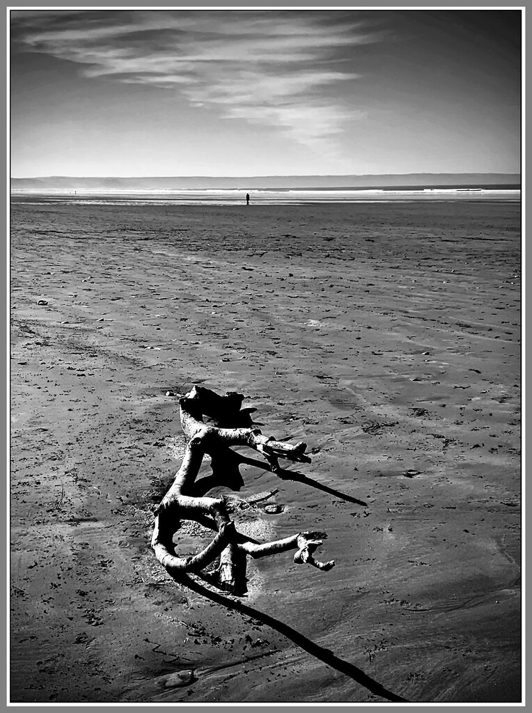 Saunton Sands by sjc88