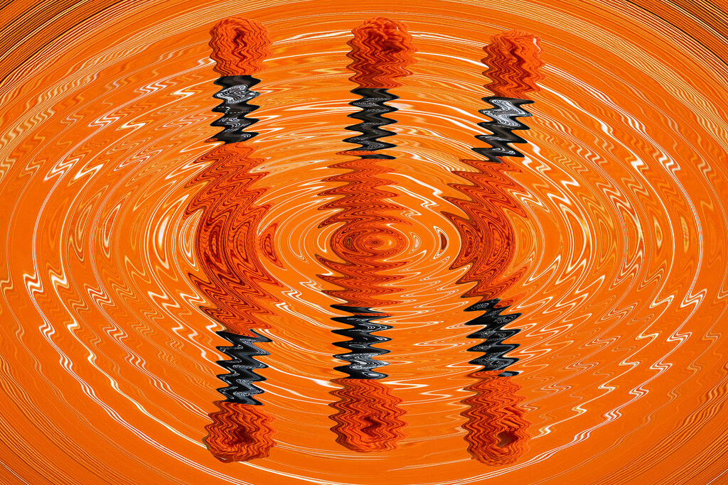 Orange 4 by k9photo