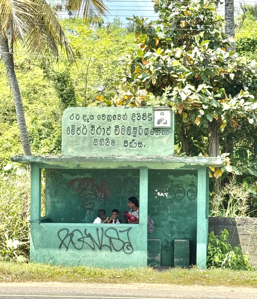 Bus stop.  by cocobella