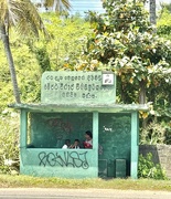 25th Mar 2025 - Bus stop. 