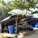 Fish shop. 