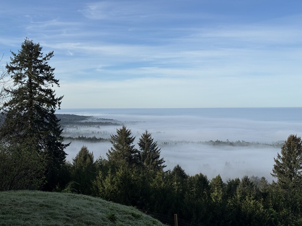 Fog looking south by jgpittenger