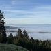 Fog looking south