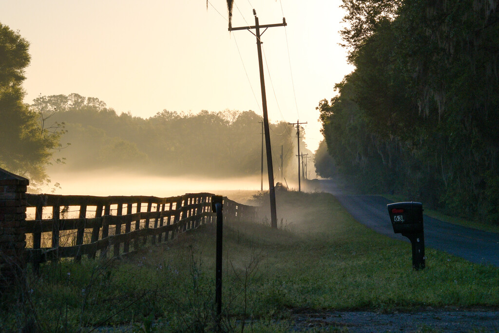 Foggy mornings by danette