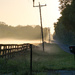 Foggy mornings