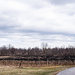 Spring Lake Vineyards