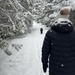 A Walk on the Trails 