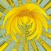 Yellow by onewing